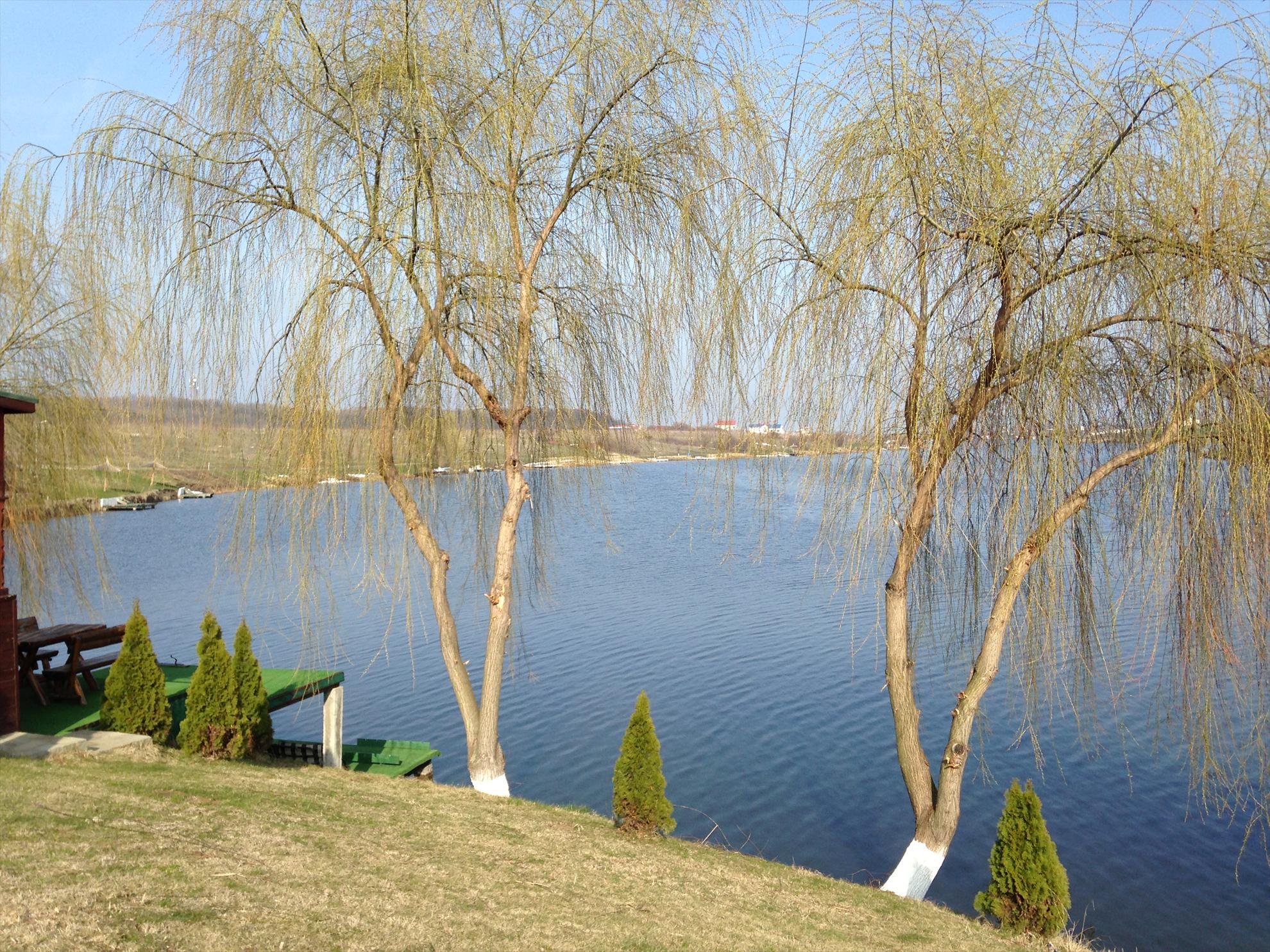 Laguna Verde - Balotesti Fieni 2013 - pescuit-crap-laguna-verde-martie-2013-5.JPG